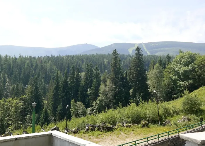 Piecuch Frühstückspension